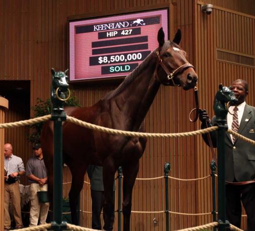 Royal Delta in the sales ring, sold for $8.5 million.