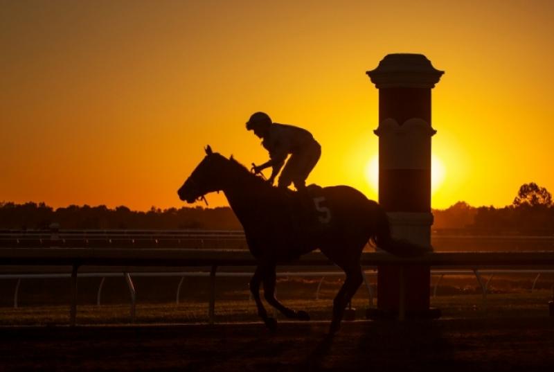 Jockey hunches over his horse while galloping. The sun sets behind them.